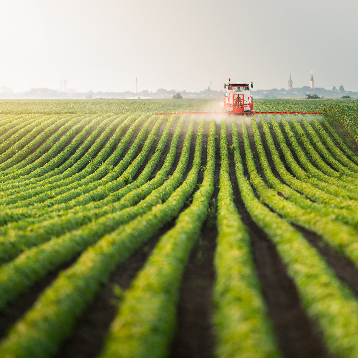 Tractor spraying pesticides at soy bean field Ein Traktor bringt Pflanzenschutzmittel auf einem Feld aus.