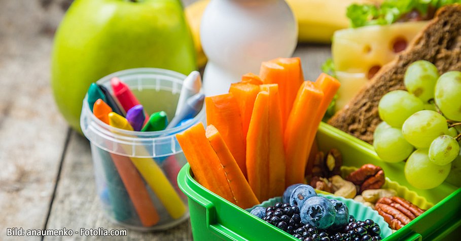 Healthy school lunch box