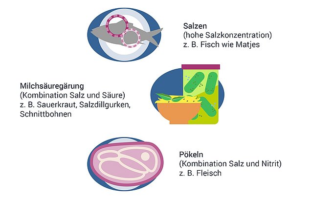 Infografiken zu technologischen Eigenschaften von Salz