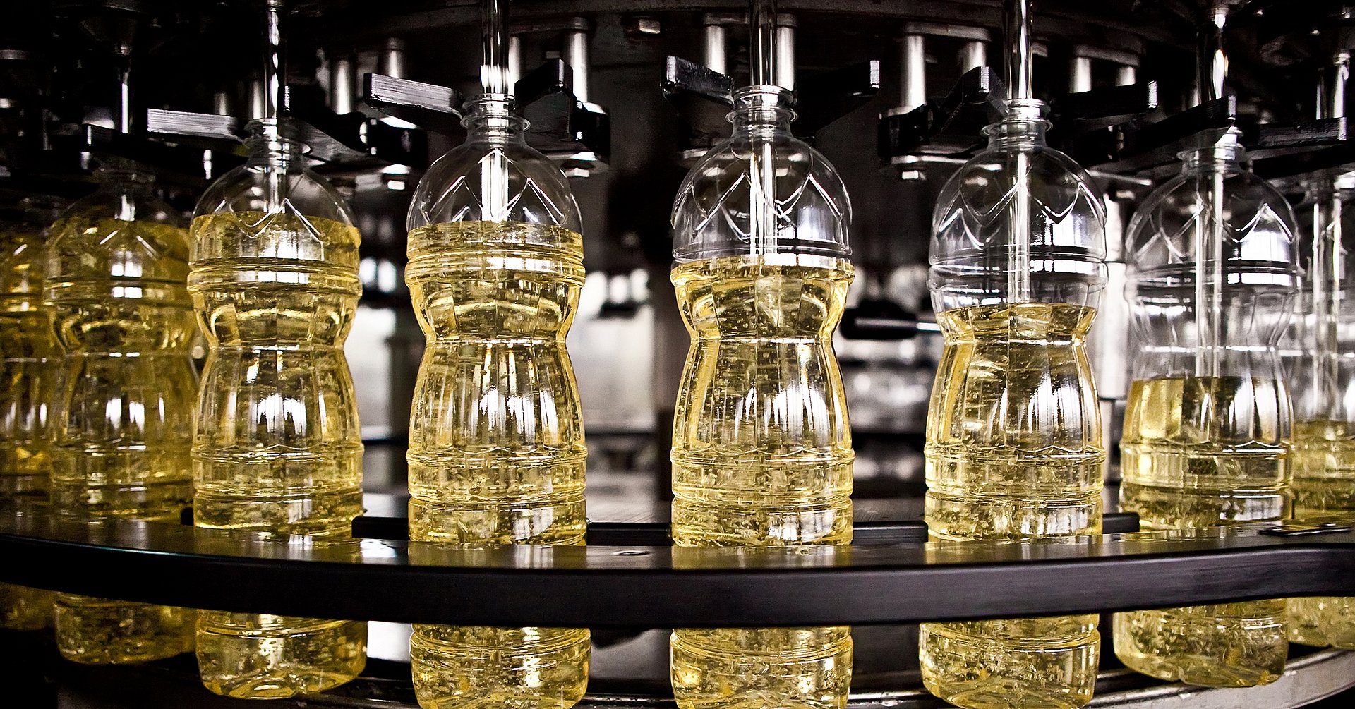 Sunflower oil in the bottle moving on production line. Shallow dof.