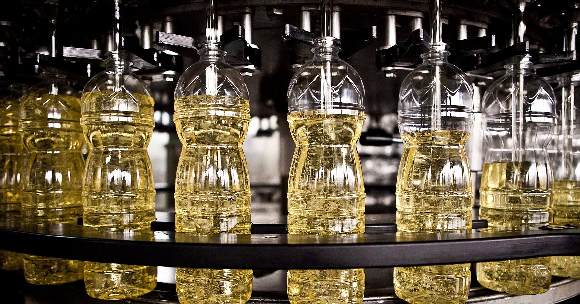 xvdsvsdvsav Sunflower oil in the bottle moving on production line. Shallow dof.