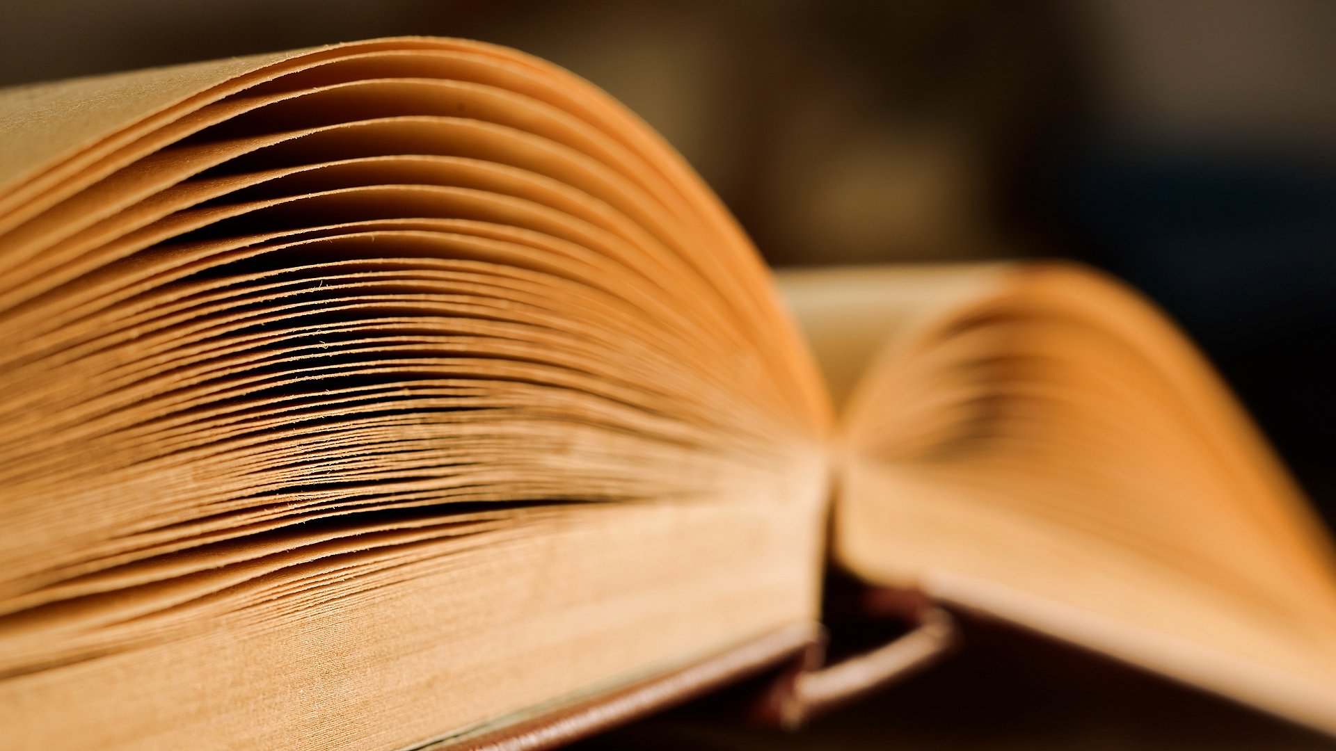 Old vintage book close-up in dramatic light