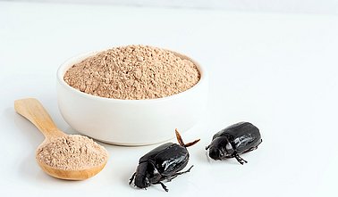 Insektenmehl aus Getreideschimmelkäfern 