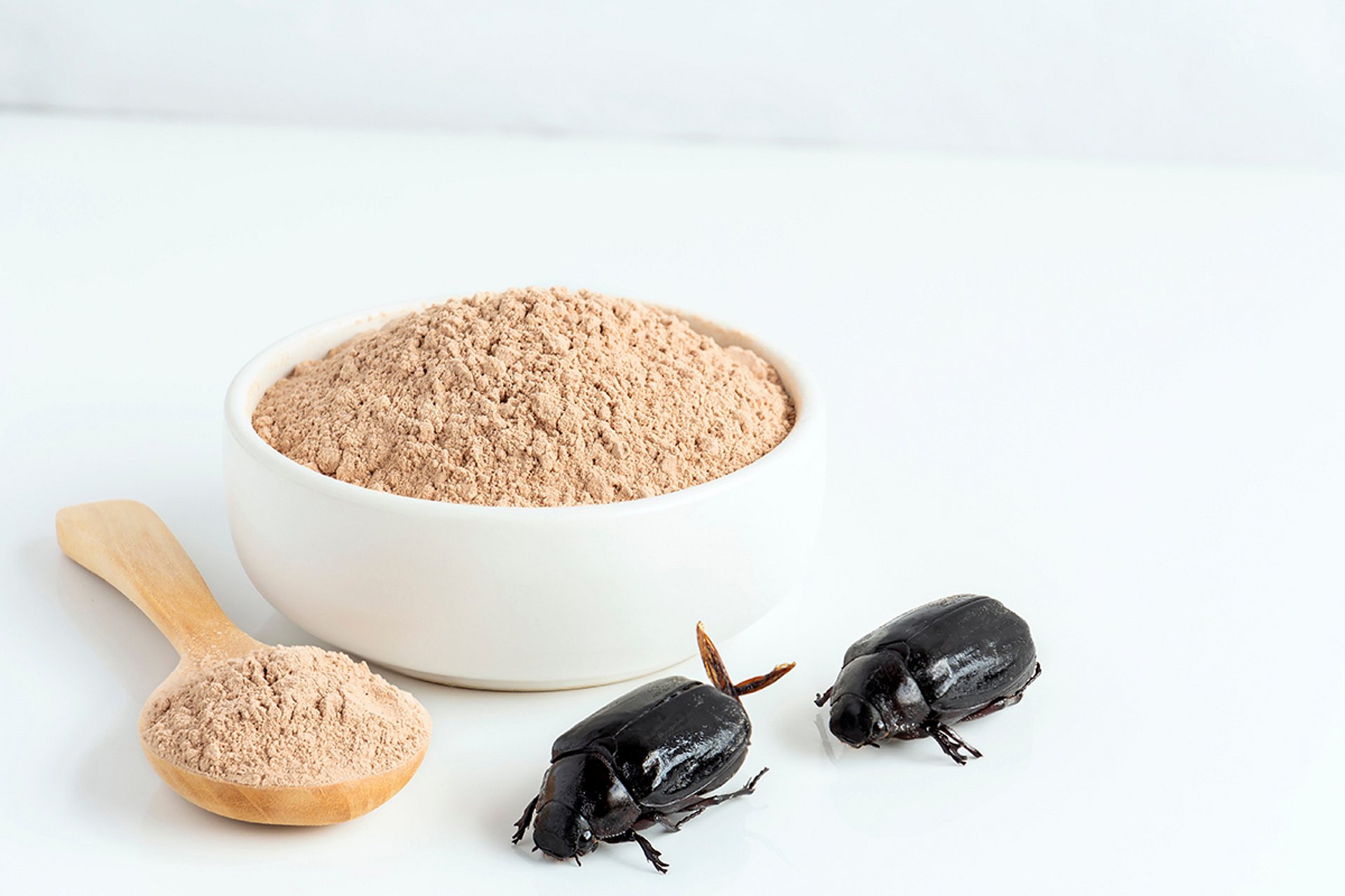 Insektenmehl aus Getreideschimmelkäfern 
