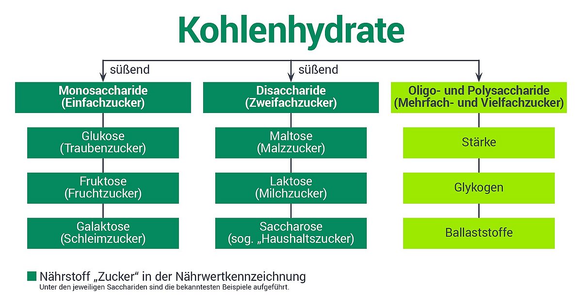 Übersichtsgrafik der Kohlenhydrate anhand ihrer Verbindungen.