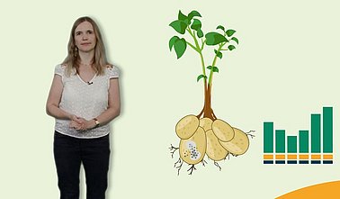 Standbild aus dem Erklärvideo des Lebensmittelverbands Deutschland zu Pflanzenschutzmittelrückständen