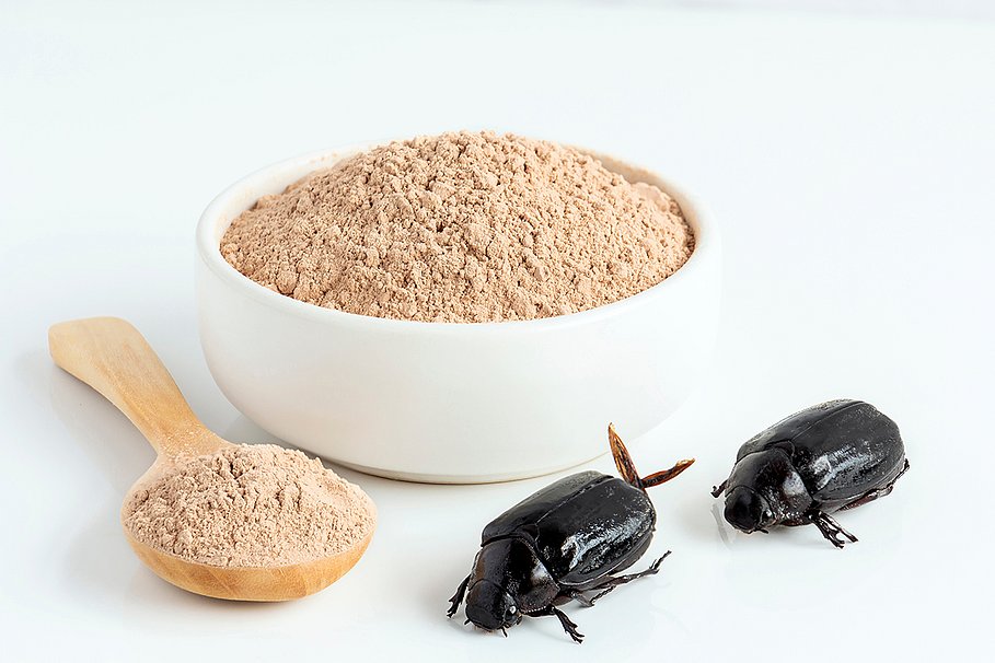 Skarabäuskäfer Insektenpulver. Insektenmehl für den Verzehr aus gekochtem Insektenfleisch in einer Schüssel und auf einem Holzlöffel auf weißem Hintergrund.
