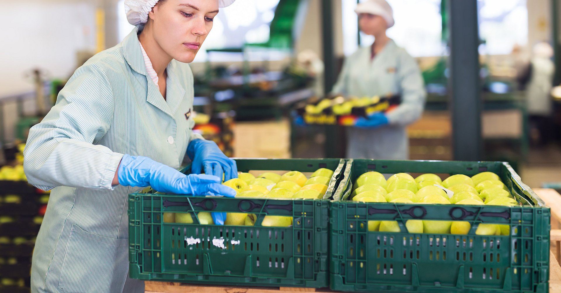 Qualitätskontrolle in der Apfelsortierung