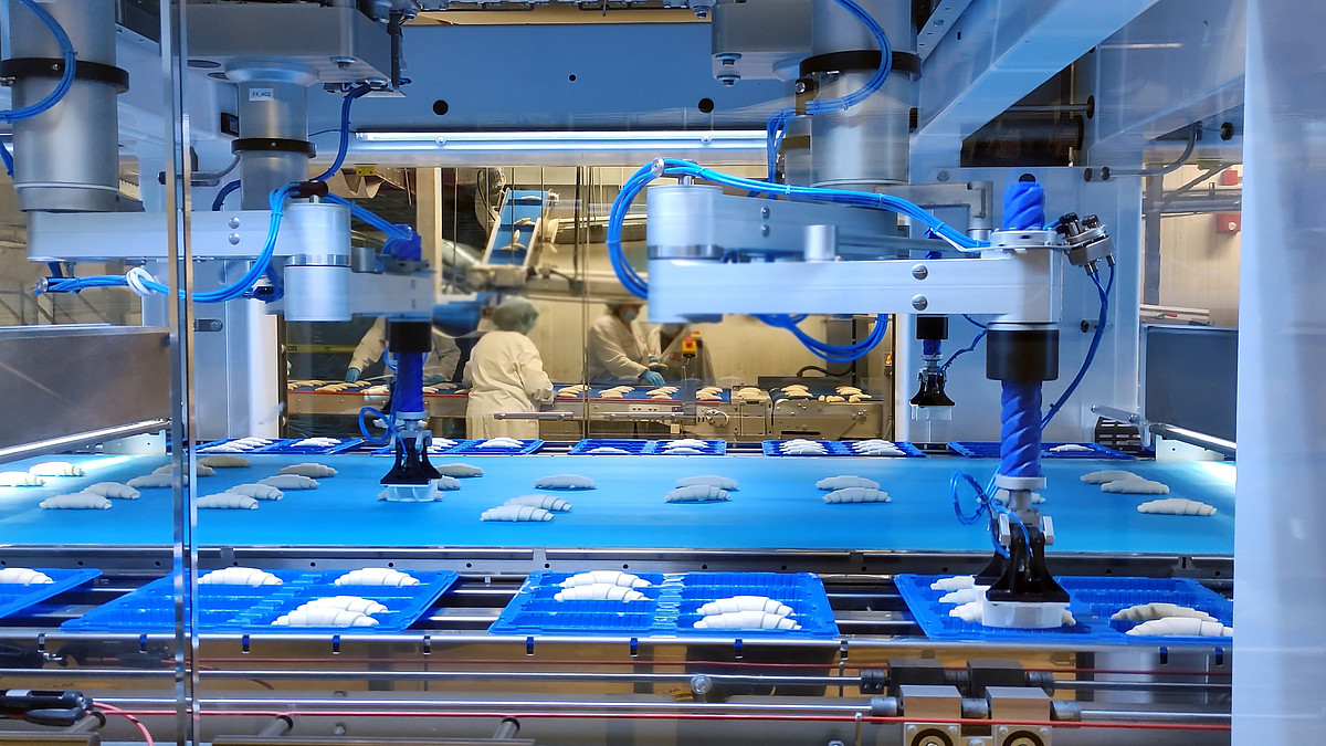 High-tech baking production process at the factory. The factory bought automated machinery for the high-tech production of curassans. High-tech process of packaging croissants from a conveyor belt.