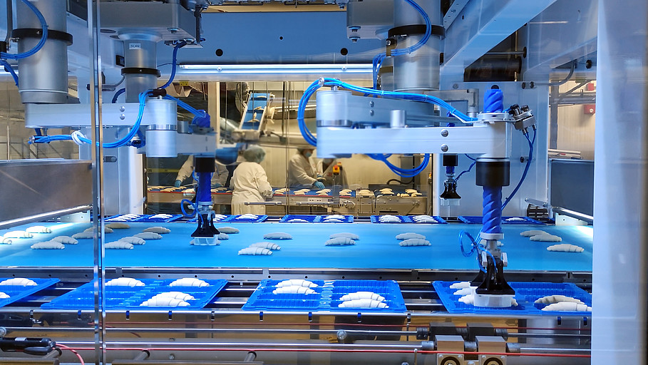 High-tech baking production process at the factory. The factory bought automated machinery for the high-tech production of curassans. High-tech process of packaging croissants from a conveyor belt.