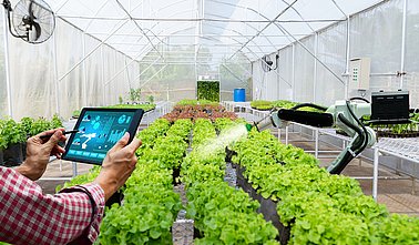 Roboterarm bestellt Pflanzen in einem Gewächshaus.