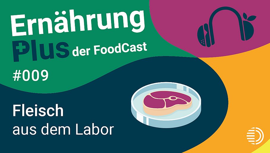Titelgrafik des Podcasts "ErnährungPlus - Der FoodCast" für die Folge 9 zu Felsich aus dem Labor