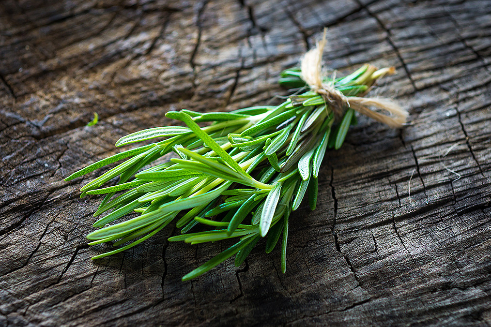 Rosmarinzweige mit den aromatischen grünen Nadeln. 