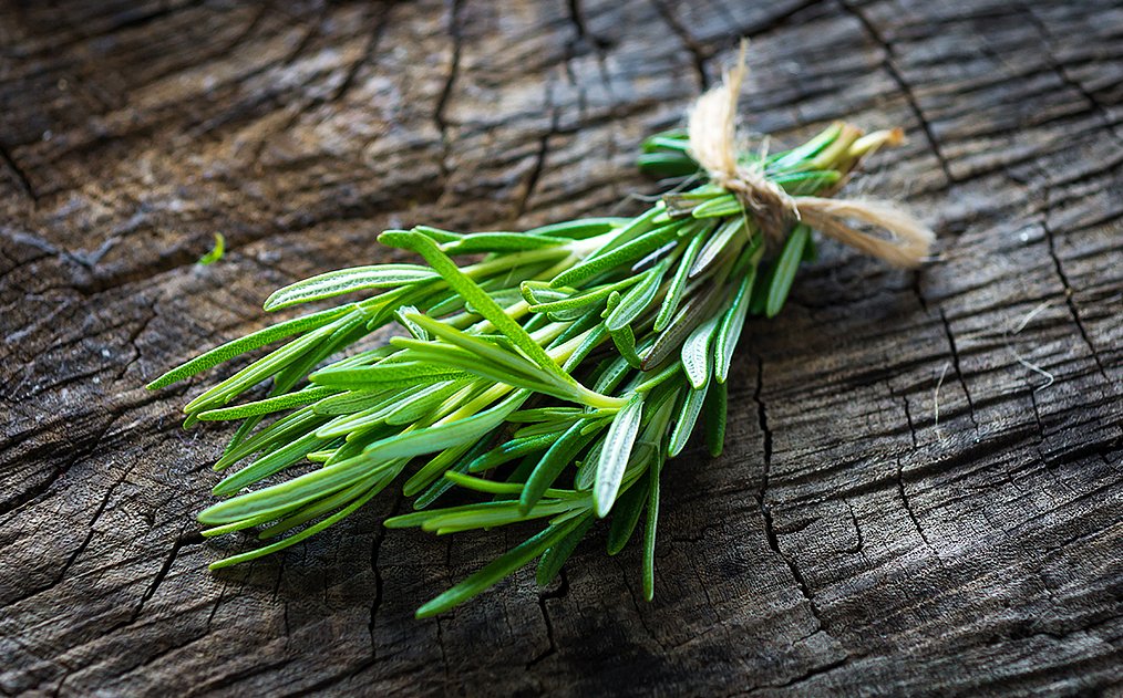 Rosmarinzweige mit den aromatischen grünen Nadeln. 