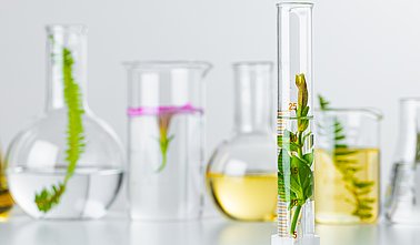 Laborgläser mit Pflanzen und Flüssigkeiten