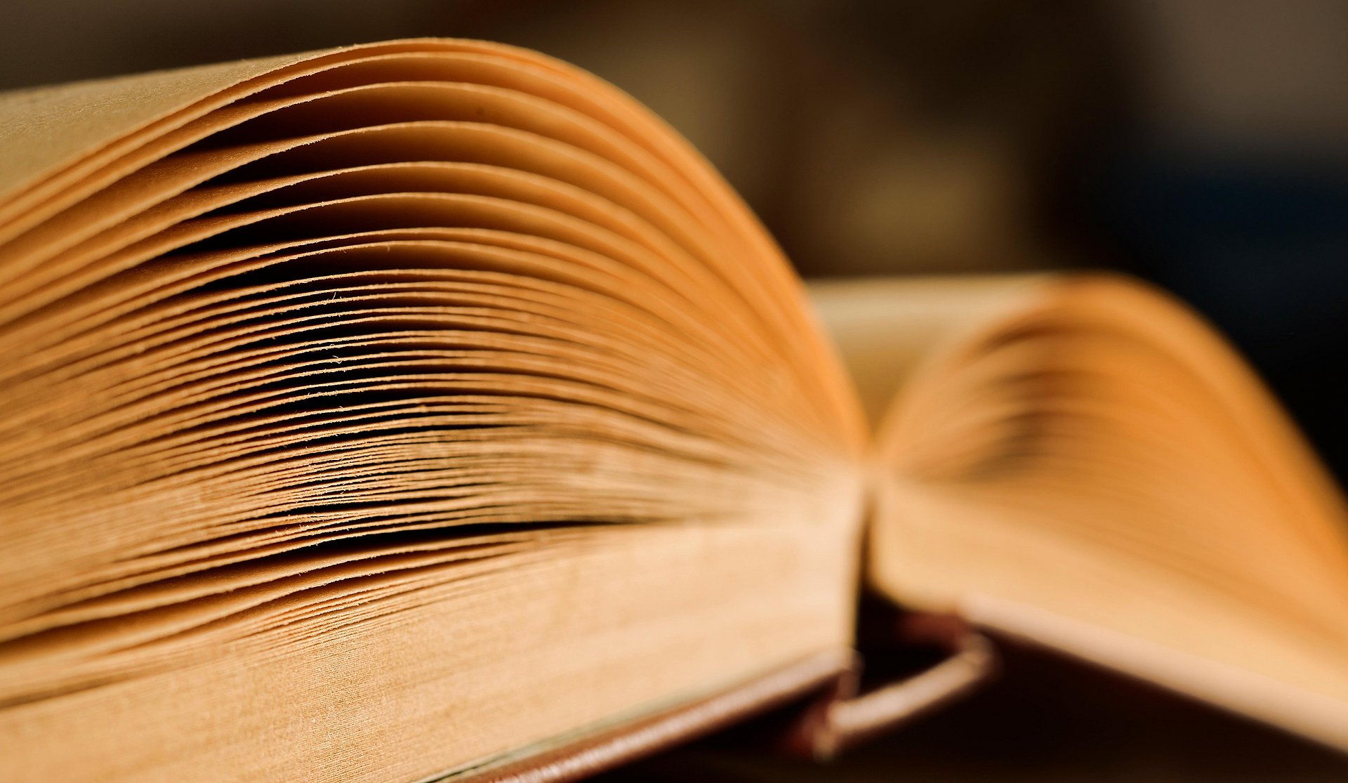Old vintage book close-up in dramatic light