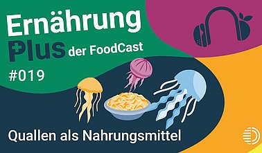 Titelgrafik des Podcasts "ErnährungPlus - Der FoodCast" für die Folge 19 zu Quallen als Nahrungsmittel