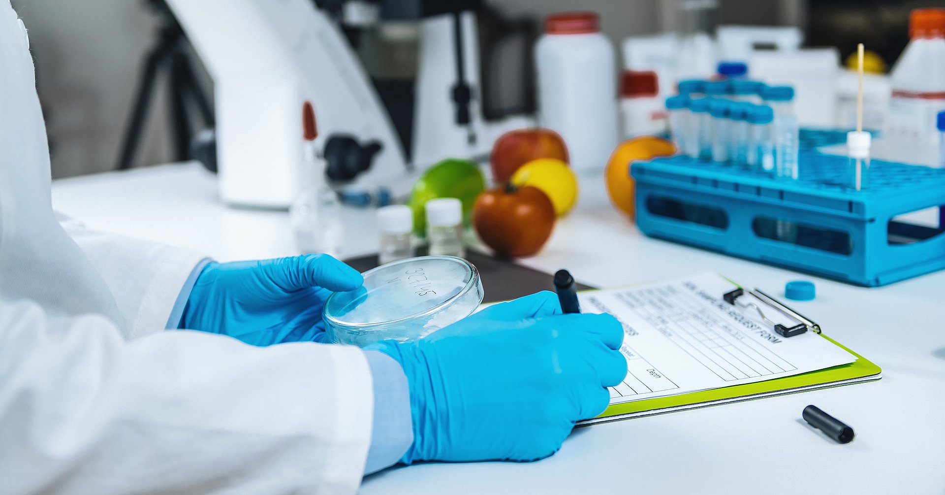 Food Quality Assessment in Microbiology Laboratory