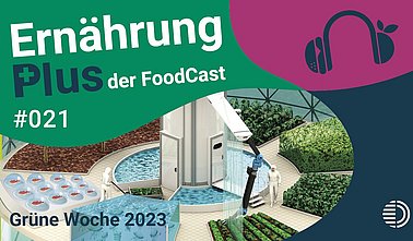 Titelgrafik des Podcasts "ErnährungPlus - Der FoodCast" für die Folge 21 zur IGW