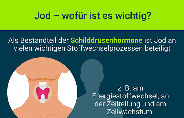 8 Kacheln mit anschaulichen Informationen zum Nutzen und zur Verwendung von Jodsalz